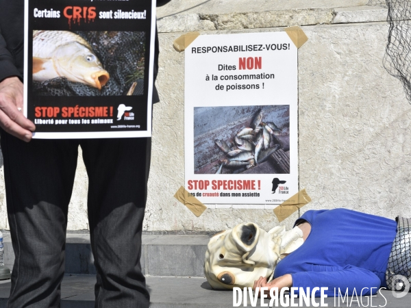 Cause animale : Journée Mondiale pour la Fin de la Peche. Action 269 Life France - Actions Ile-de-France  LA PECHE : une vraie BOUCHERIE Animals rights.