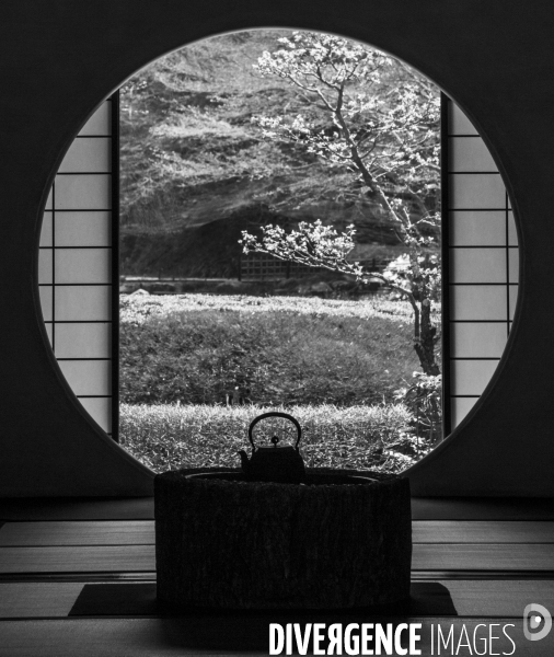 Theiere devant un jardin japonais