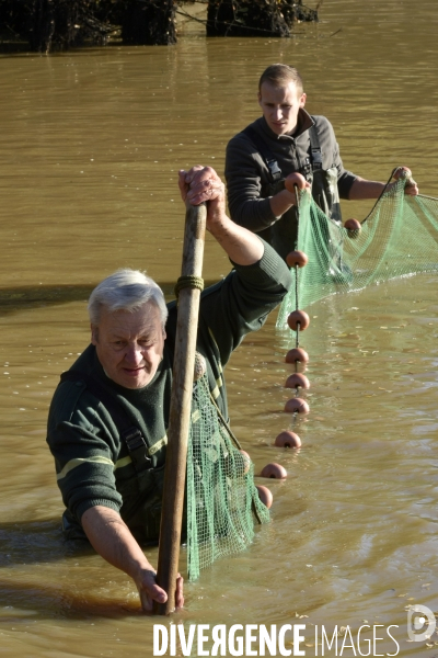 Pêche dans le Domaine National de Chambord