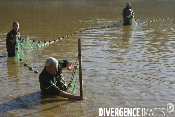 Pêche dans le Domaine National de Chambord