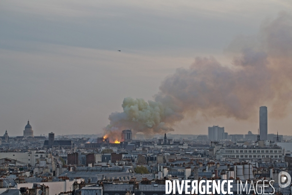 NOTRE DAME Cathedrale on fire