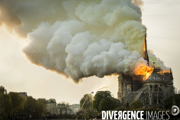 La cathédrale Notre-Dame en feu
