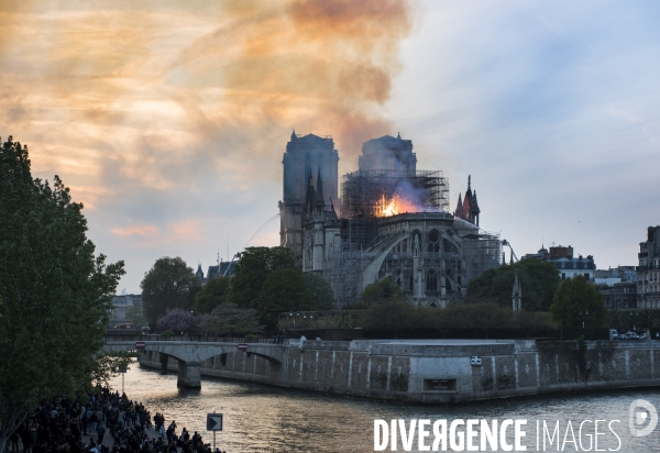 Incendie de la Cathédrale Notre-Dame de Paris. Fire of Notre-Dame Cathedral