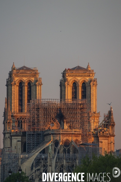 Notre-Dame de Paris après l incendie du 15 avril 2019