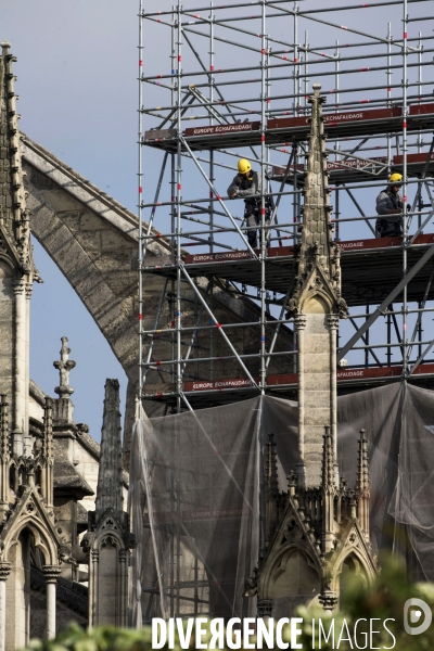 Les travaux sur la cathédrale Notre-Dame de Paris après l incendie