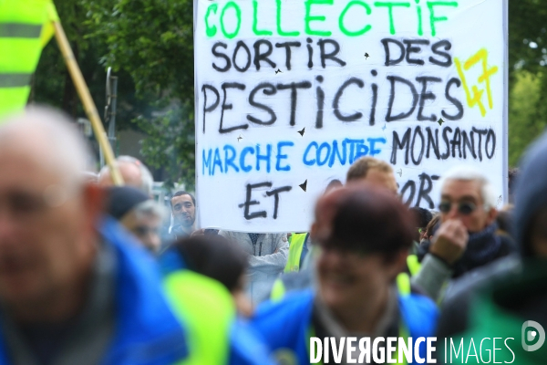 AGEN (47) Manifestation contre Monsanto-Bayer