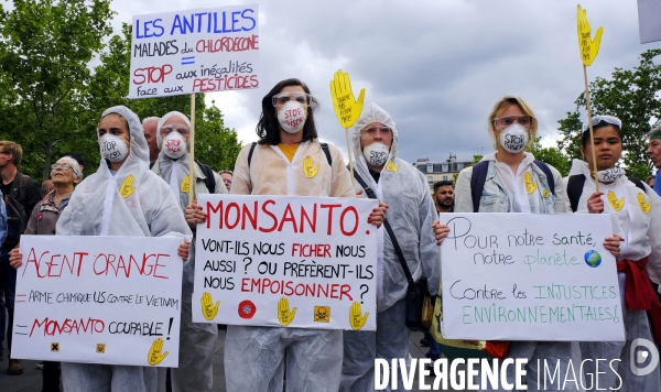 La Marche mondiale contre Monsanto/Bayer et pour la défense des abeilles