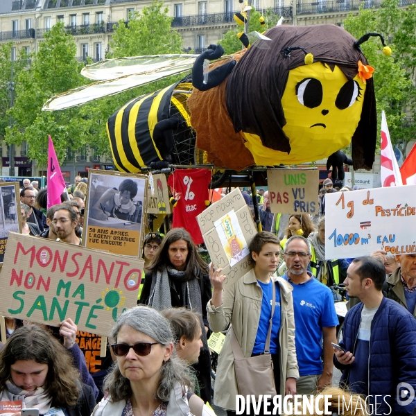 La Marche mondiale contre Monsanto/Bayer et pour la défense des abeilles