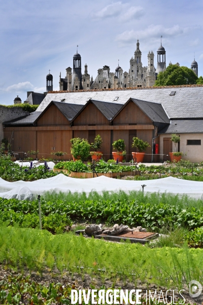 Les jardins potagers de Chambord