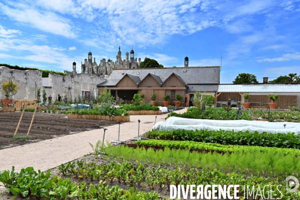Les jardins potagers de Chambord