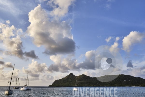Sea Cloud - Carriacou - iles Grenadines