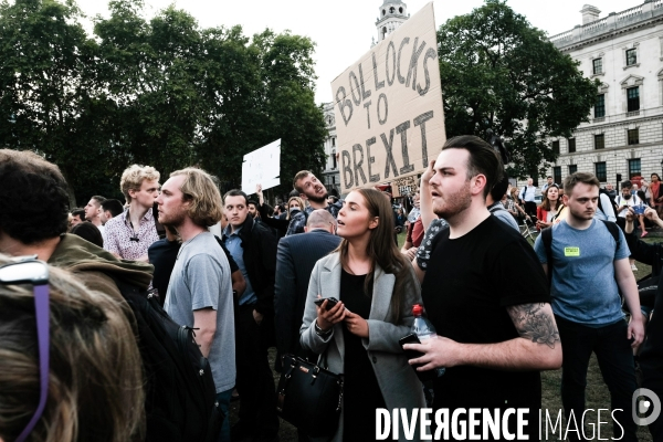Manifestation contre Boris Johnson et Le Brexit