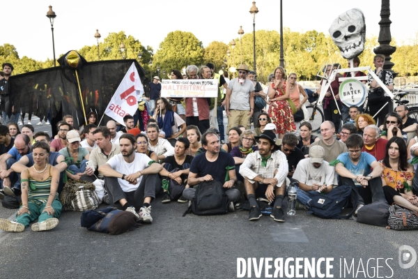 Action blocage du pont de Tolbiac en marge de la Marche pour le climat 2019, à Paris. Walk for the climate.