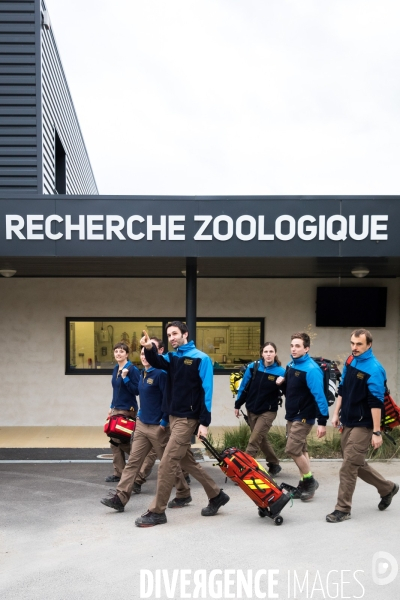 Le service vétérinaire du zoo parc de Beauval