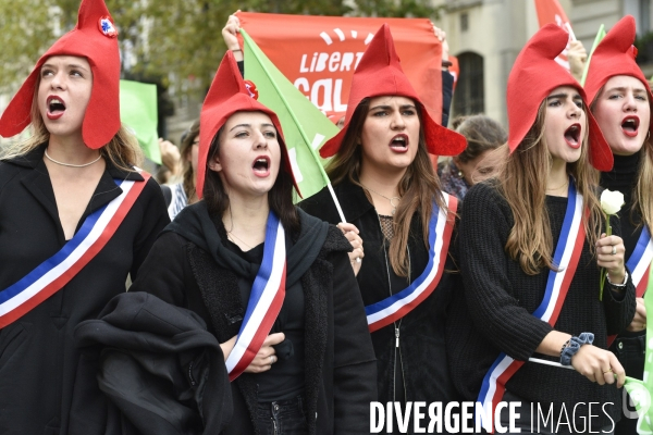 Manif pour tous LMPT 2019 à Paris. Event for all.