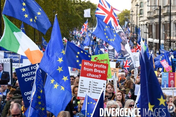 Marche contre le Brexit à Londres
