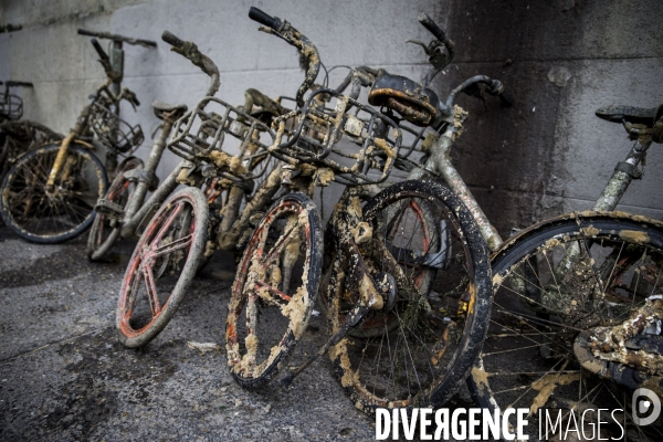 Trottinettes et vélos en libre service, victimes de l incivilité des usagers.