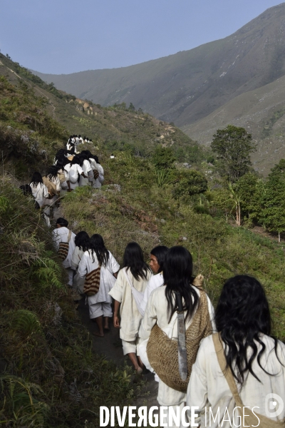 Les  Kogis,  Les gardiens de la Terre . iIs vivent dans la Sierra Nevada de Santa Marta qui représente à leurs yeux le centre du monde, la « Mère Terre »,  avec laquelle ils vivent en harmonie