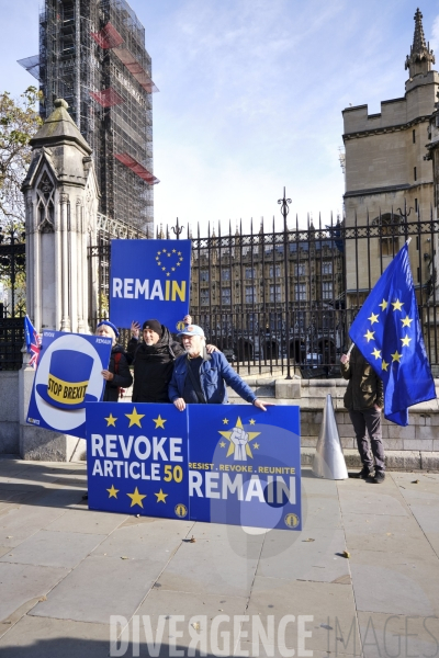 Manifestant anti Brexit devant le parlement à Londres