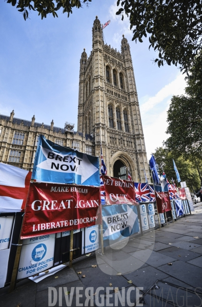 Manifestant anti Brexit devant le parlement à Londres