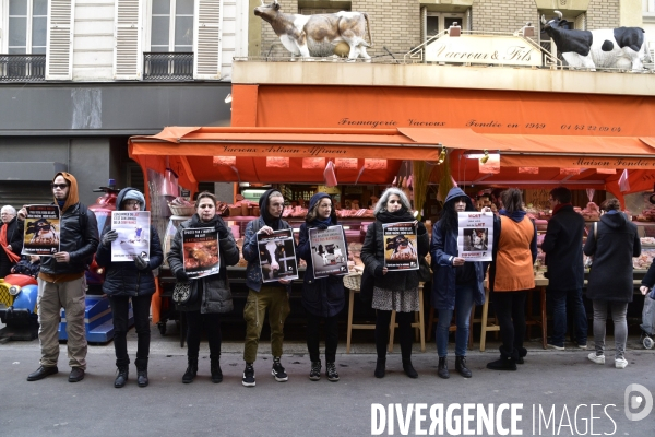 Cause animale : actions STOP SPECISME de militants l association 269 Life France. Animals rights.