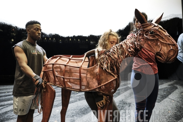 War Horse / Répétitions et coullisses à Wembley
