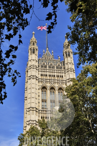 Palais de Westminster -  tour de l horloge-  à Londres