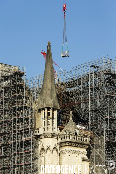 Une grue géante au chevet de Notre-Dame de Paris.
