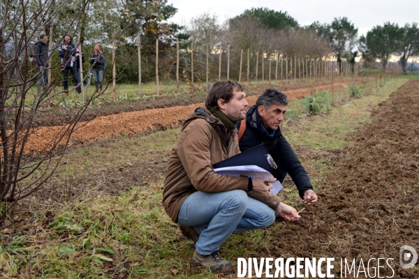 Concours d agroforesterie