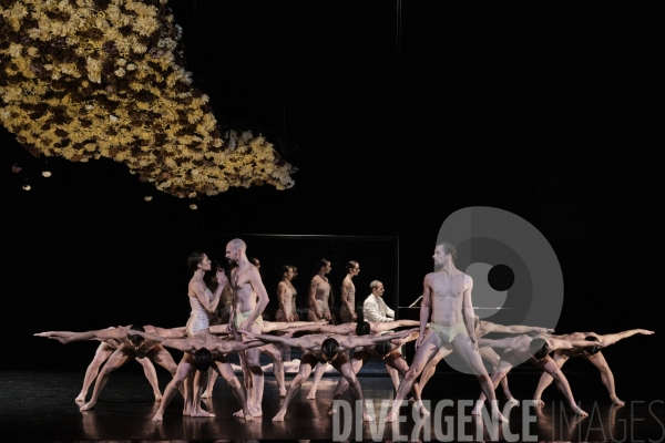 Yours, Virginia / Gil Harush /  Ballet de l Opéra national du Rhin