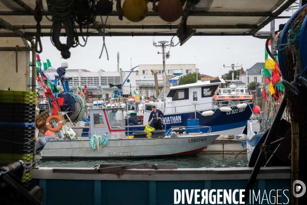 La pêche artisanale française au ralenti
