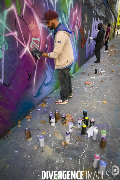 Street artiste : Berthet One.