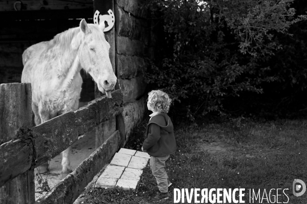 Un petit garçon face à cheval qui lui tire la langue