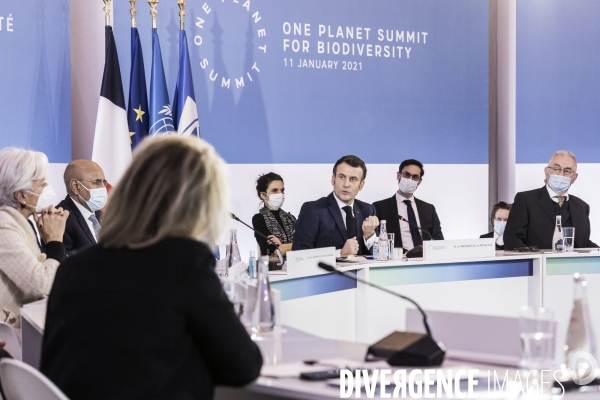 Elysée, One Planet Summit