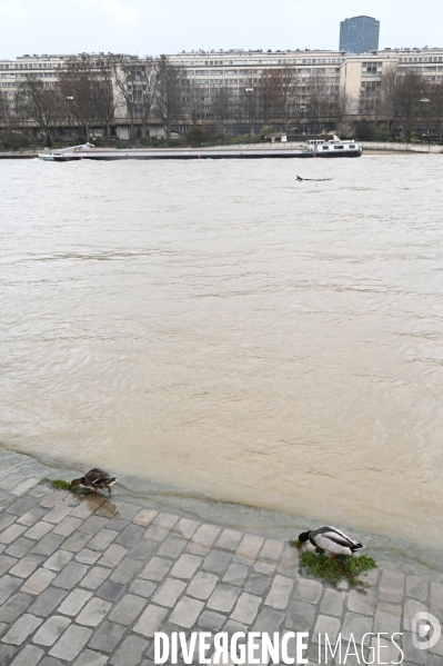 Le niveau de La Seine monte pendant que les parisiens profitent de la voie sur berges.