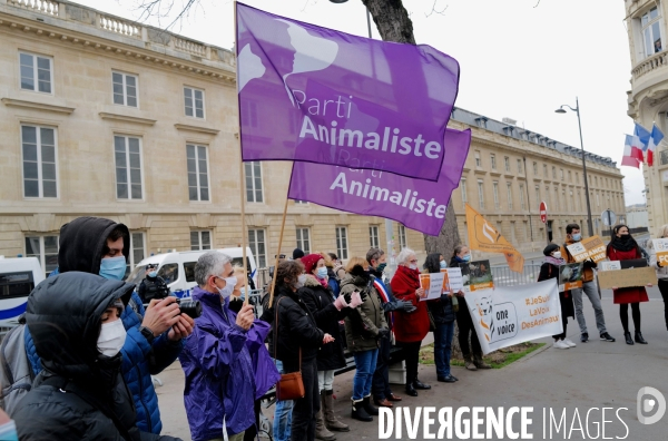 Manifestation pour la defense des animaux