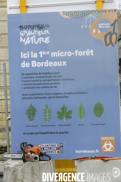 Micro-forêt urbaine à Bordeaux