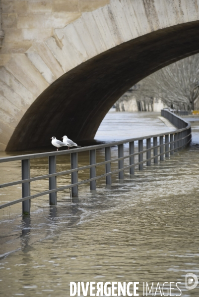 La Seine en crue.