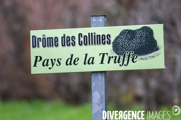 Terroir : La truffe de la Drôme des collines