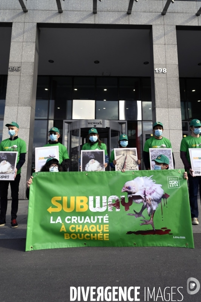 Cause animale : Action nationale L214 devant le siège de SUBWAY pour dénoncer les conditions d elevage des poulets de chair. Animals rights, chickens.