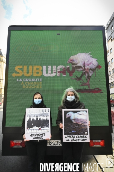 Cause animale : Action nationale L214 devant le siège de SUBWAY pour dénoncer les conditions d elevage des poulets de chair. Animals rights, chickens.