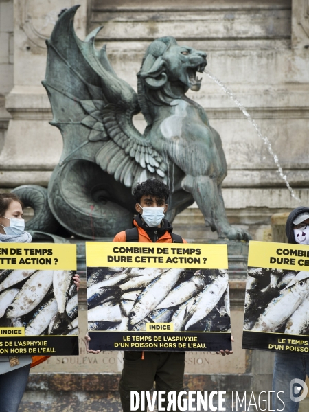 Cause animale : Journée Mondiale pour la Fin de la Peche. Action L214. Animals rights   World Day for the End of Fishing  .
