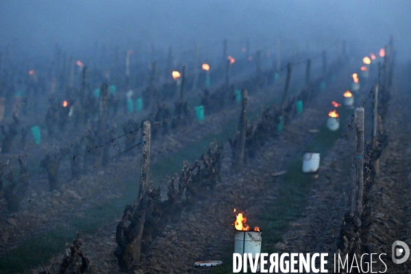 Protection de la vigne contre le gel par enfumage en Touraine sur l appelation Vouvray