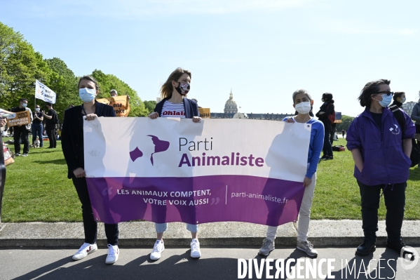 Journée mondiale des animaux dans les laboratoires, organisée par One Voice. Animal protection against animal testing.