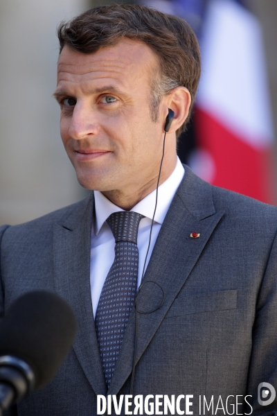 Emmanuel Macron recoit le president allemand