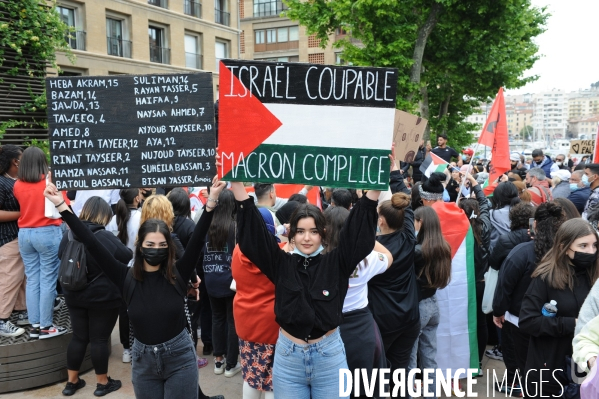 Manisfestation pour la Palestine