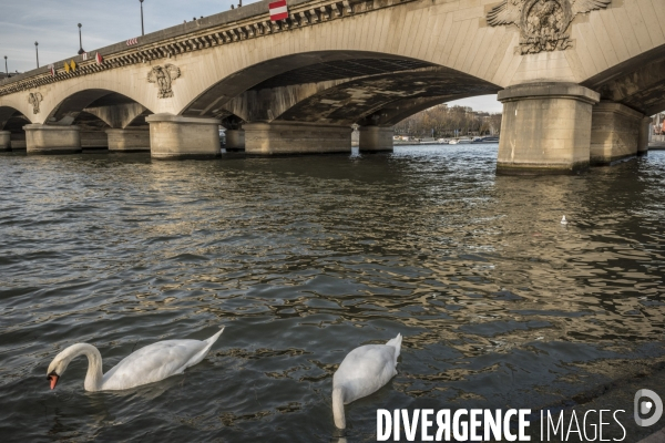 Pont d Iéna à Paris : chantier de remise en état