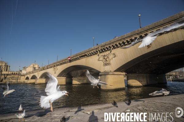 Pont d Iéna à Paris : chantier de remise en état
