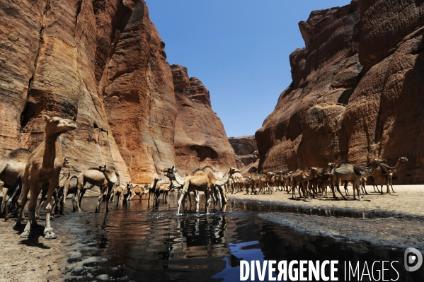 Le Guelta d Archéï dans le désert d Ennedi au Tchad