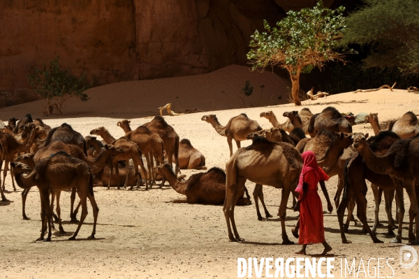 Le Guelta d Archéï dans le désert d Ennedi au Tchad